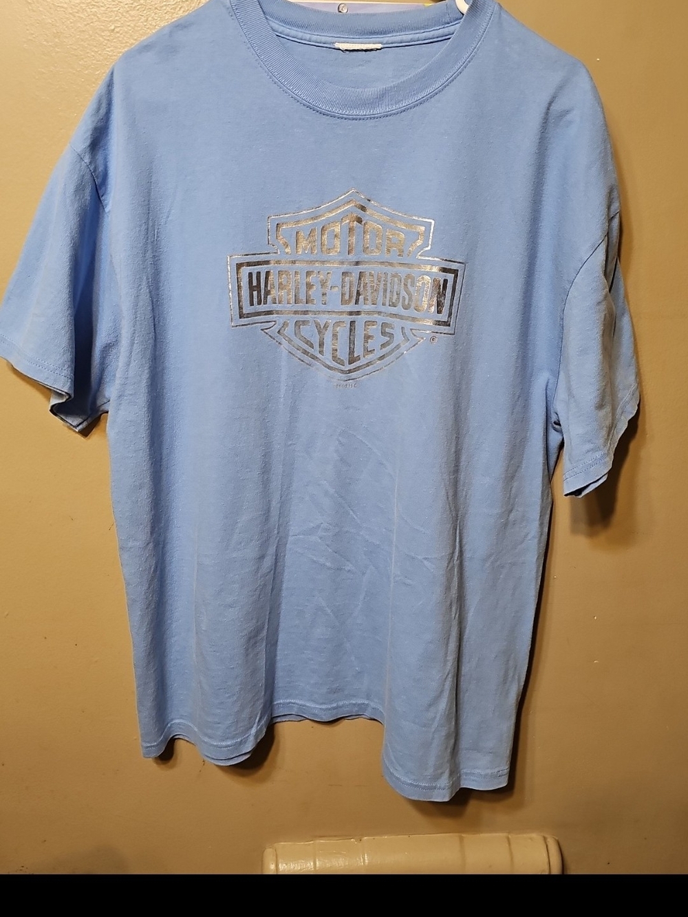 Harley-Davidson Light Blue Short Sleeve Logo Tee